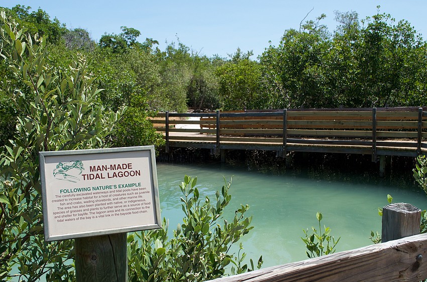 This tidal lagoon was built as part of the nature preserve's remediation.