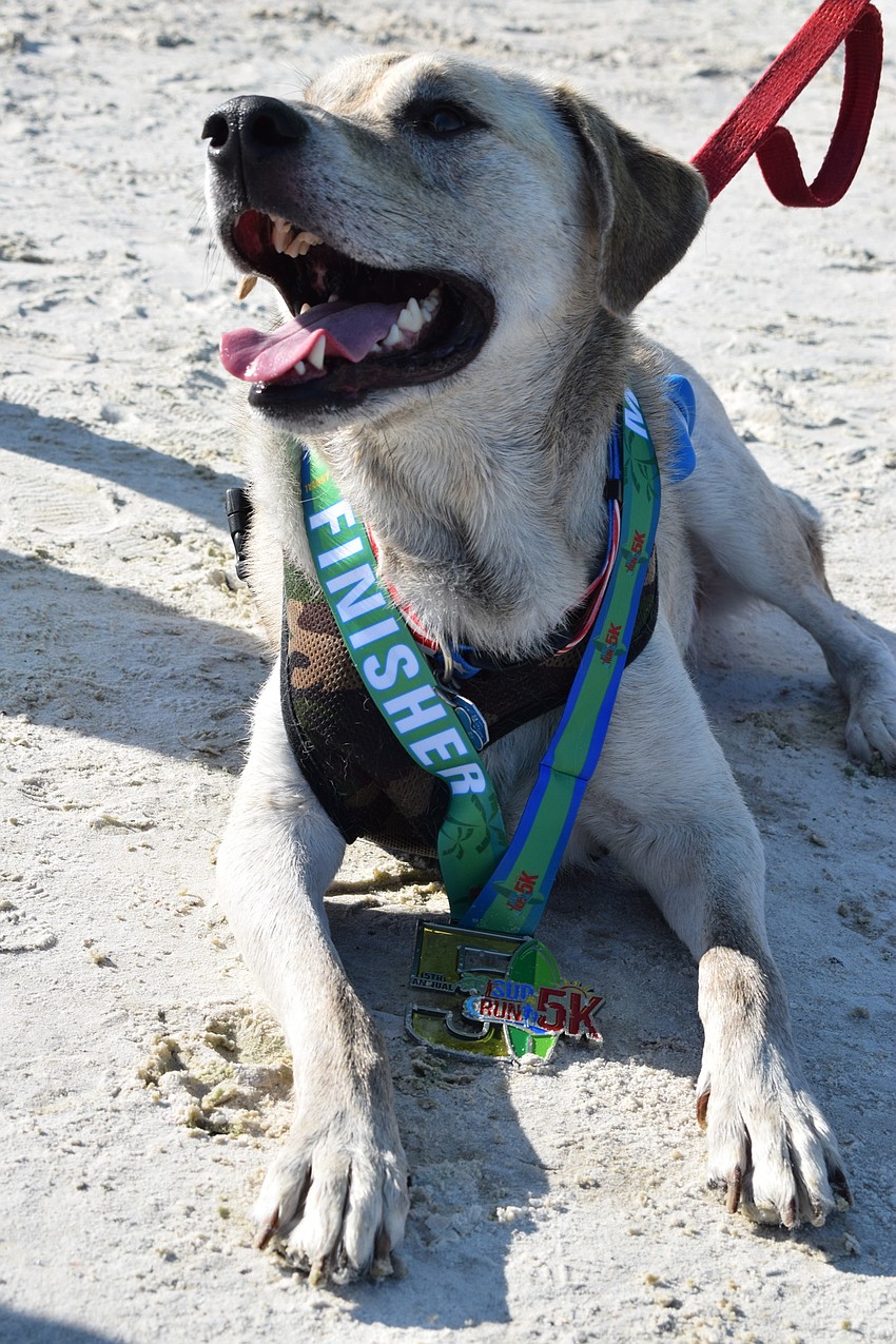 Humans weren't the only racers — Baxter, who belongs to North Port's Ron Humphrey — also finished the race.