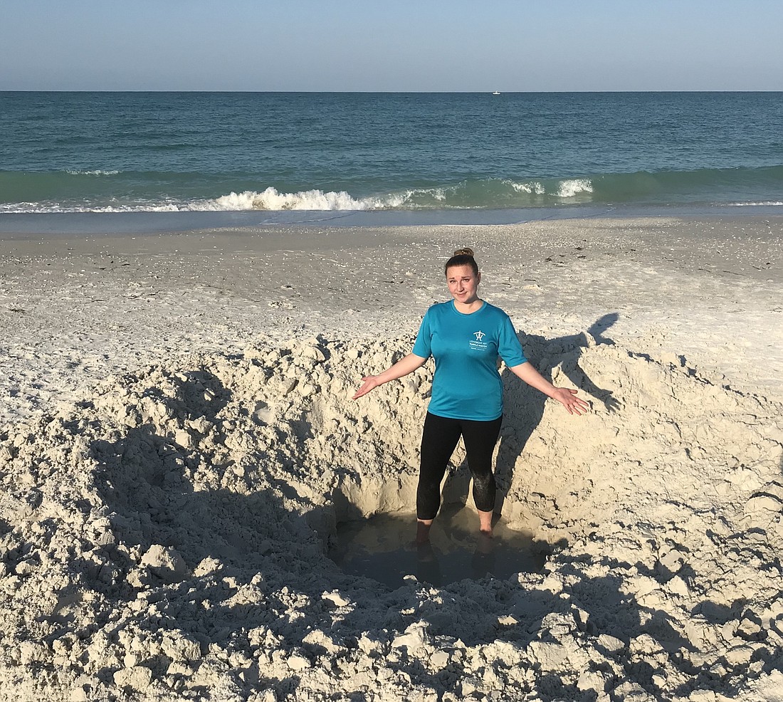 (Courtesy photo) Longboat Key Turtle Watch volunteer Amanda Roth helps show perspective of the hole discovered Tuesday morning near the Broadway Street Beach Access.