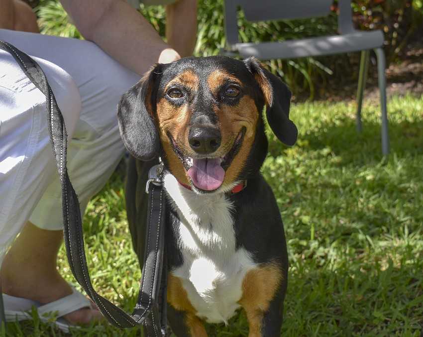 Rugelach (pictured) is named for a Jewish pastry.