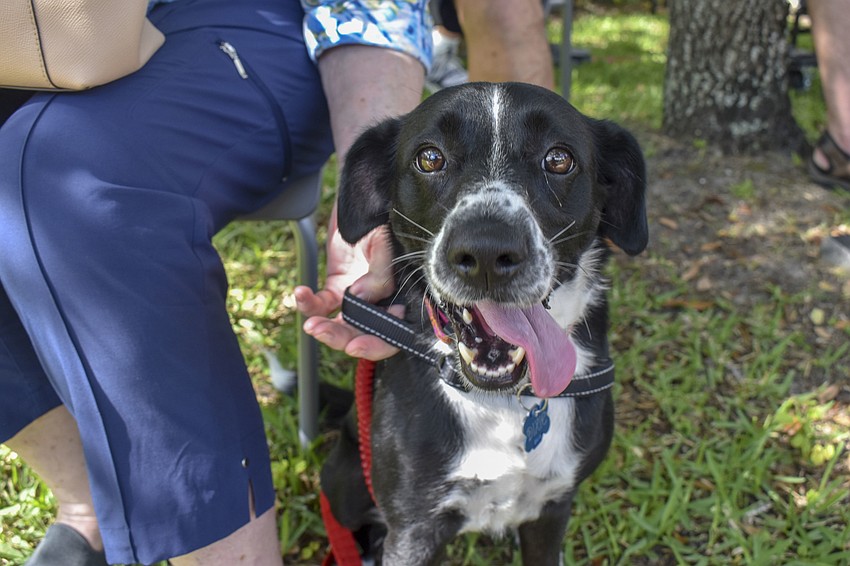 Lady poses for a photo.