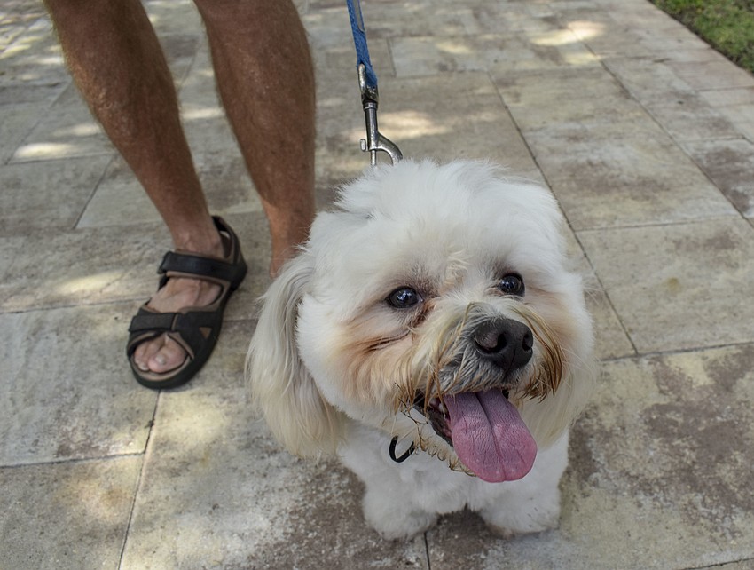 Teddy waits his turn for his blessing.