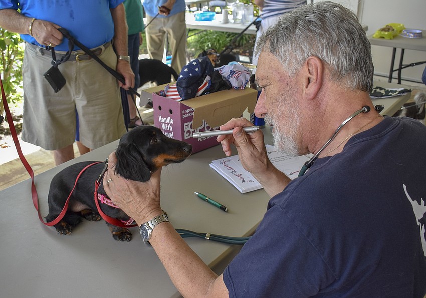 Lexi receives her check up from veterinarian Dr. Hal Alterman.