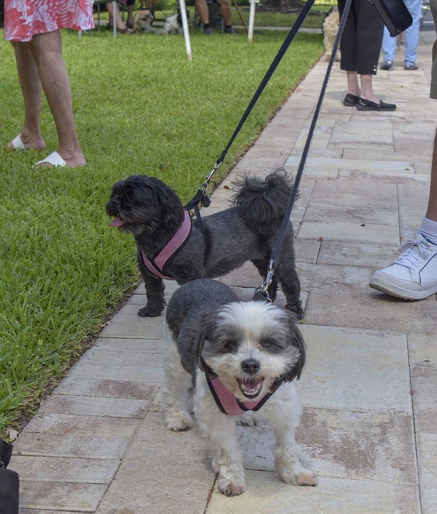 Mia (center) and MJ stand in line for their blessing.