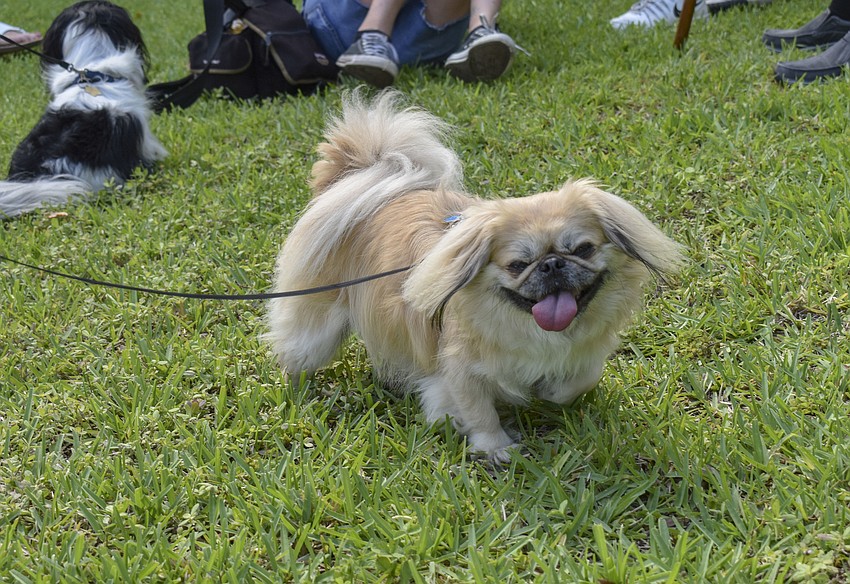 Tova smiles for the camera.