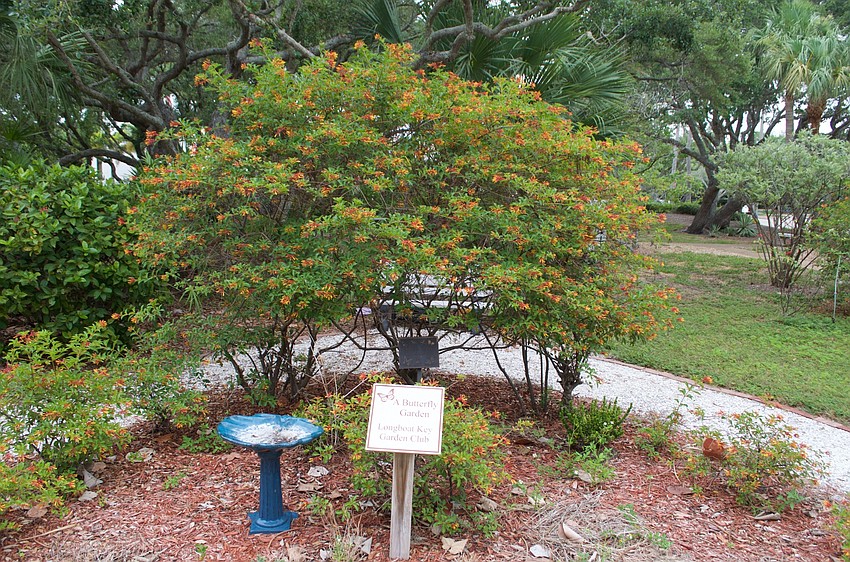 A butterfly garden, donated by the Longboat Key Garden Club.
