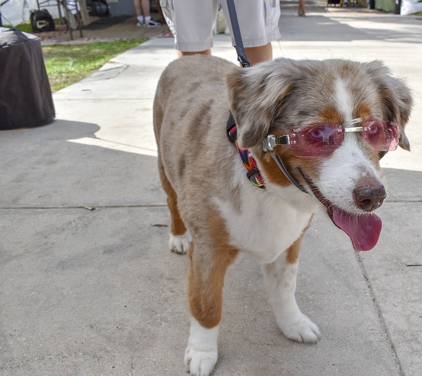 Madison, 9, peruses the craft festival with her owners.