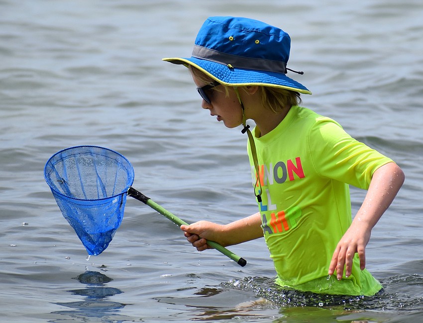 Greyson Giguere, 6, tried his hand at dip-netting in the waters surrounding City Island.