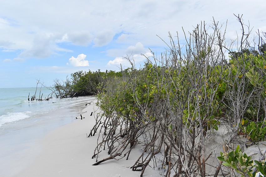 The beach at the end of North Shore Road.
