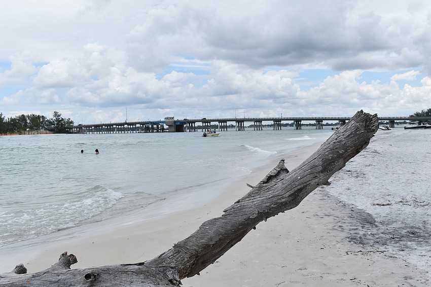 Mangroves and other trees along the beach.