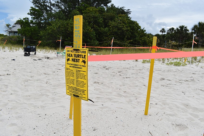 Turtle nests are marked and roped off.