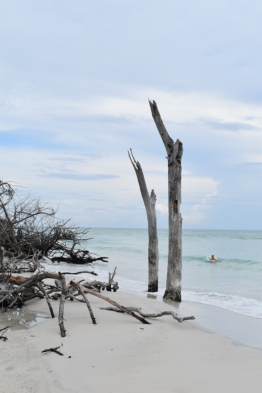 Odd and stark scenes are common around the north end of the island.