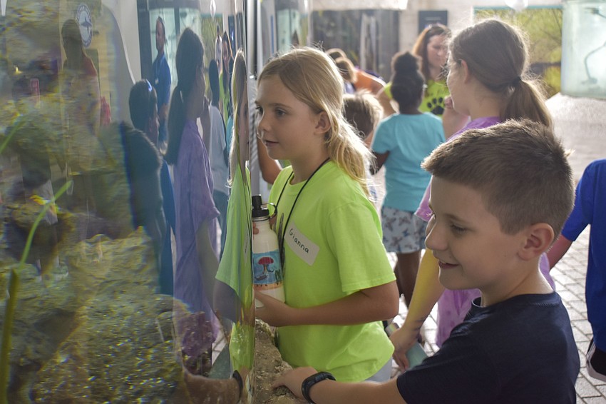 Gianna Freda and Everett McCollough explore the Florida’s Bay Habitats exhibit.