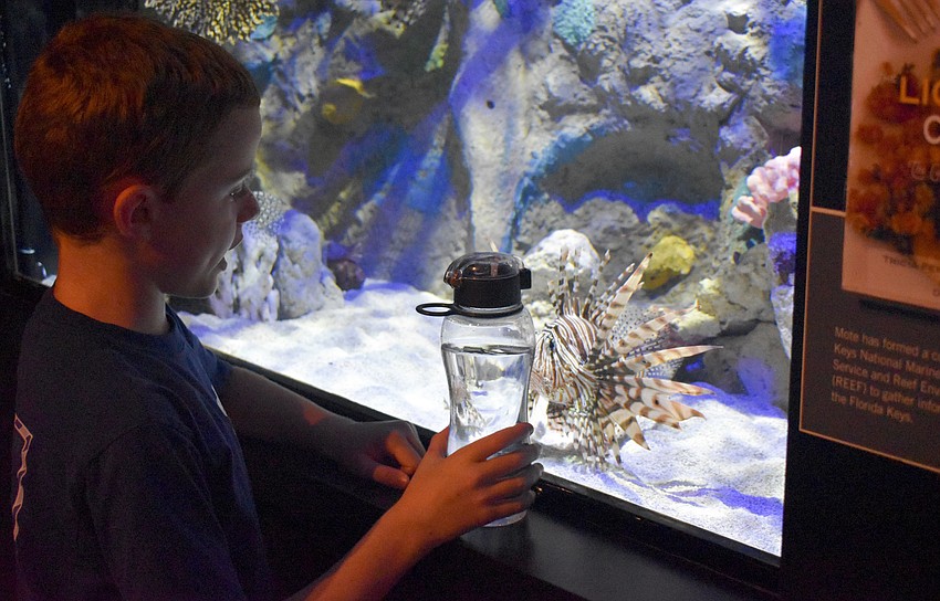 Austin Taylor has a starring match with a lionfish.