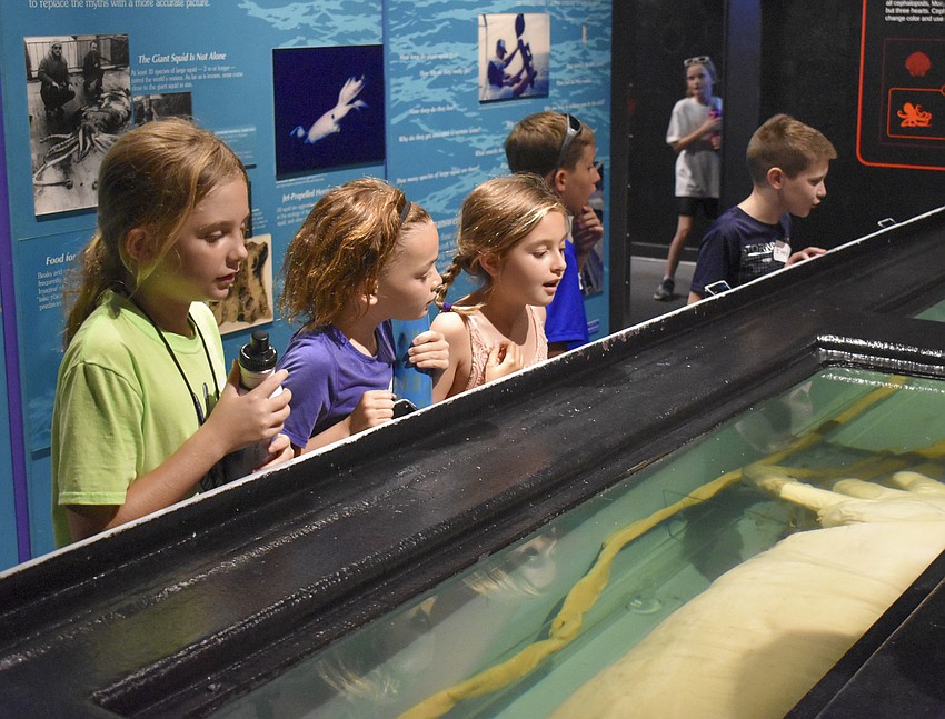 Gianna Freda, Ella Handlin, Kara Mulock, Blake Shaffer and Everett McCollough marvel at Molly the Mollusk, Mote's giant squid.