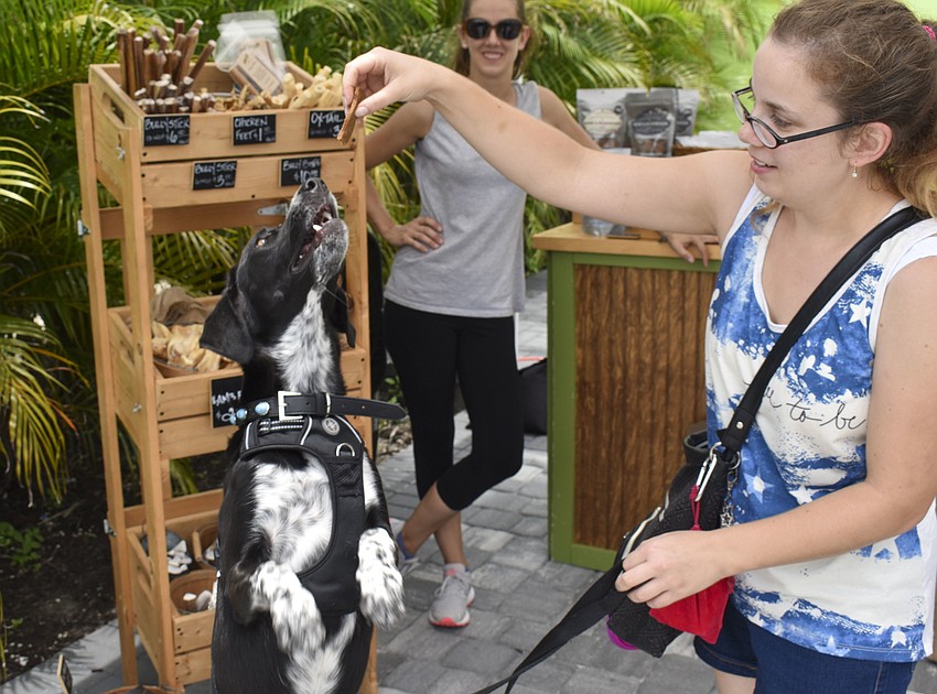 Trixy, 10 months, jumps for a treat from her owner Paulette Nelson.
