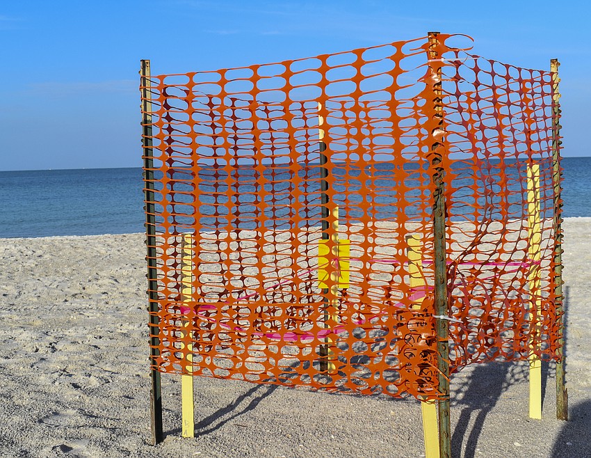 Sea turtle nesting season runs from May through October on the Gulf Coast. Orange nets mark where nests are to keep the turtles safe.