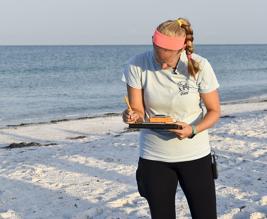 Senior biologist Melissa Bernhard jots down notes about the turtle tracks.