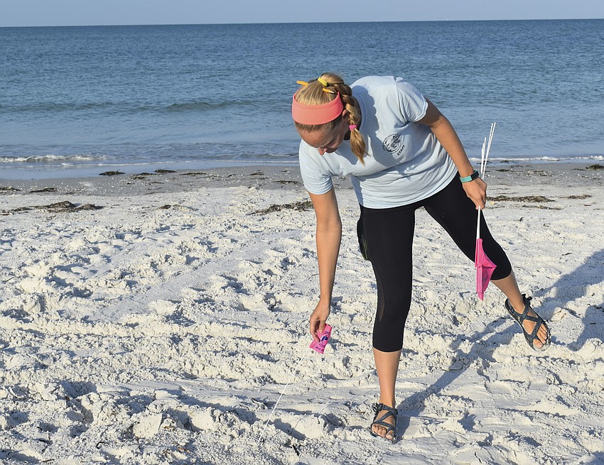 The pink flags are removed after the data is taken so that the path doesn't get mistaken for new tracks,