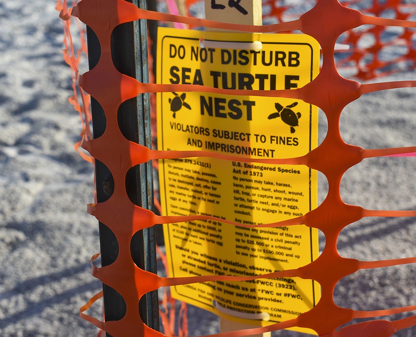 Sea turtles are protected by the Federal Endangered Species Act and the Florida Marine Protection Act.