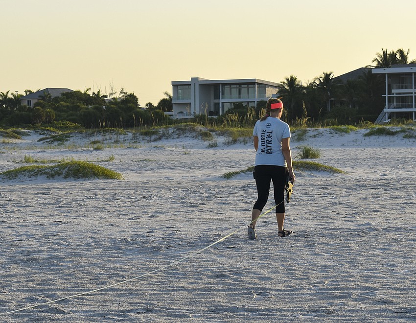 Melissa Bernhard checks the percentage of beach that the turtle crawled up the beach.