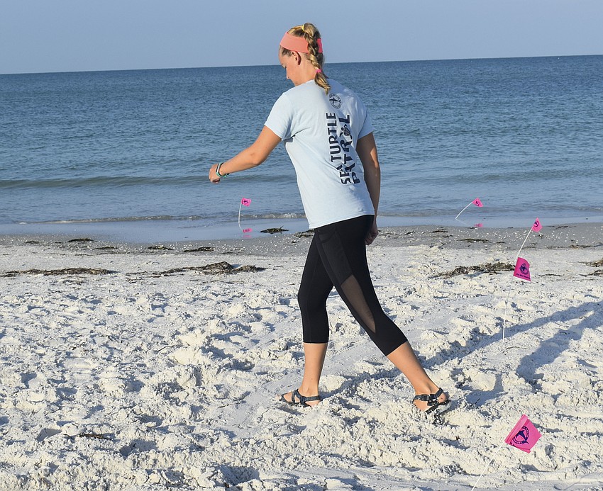 After all of the data is taken down, Melissa Bernhard draws an X through the turtle path.