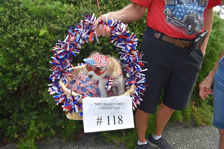 Biscuit in a basket, who won honorable mention in his first time in the Hot Diggity Dog contest.