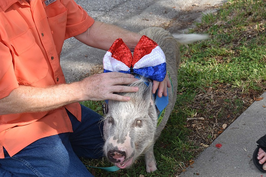 Though he's not a dog, Willy the pig got in on the fun.
