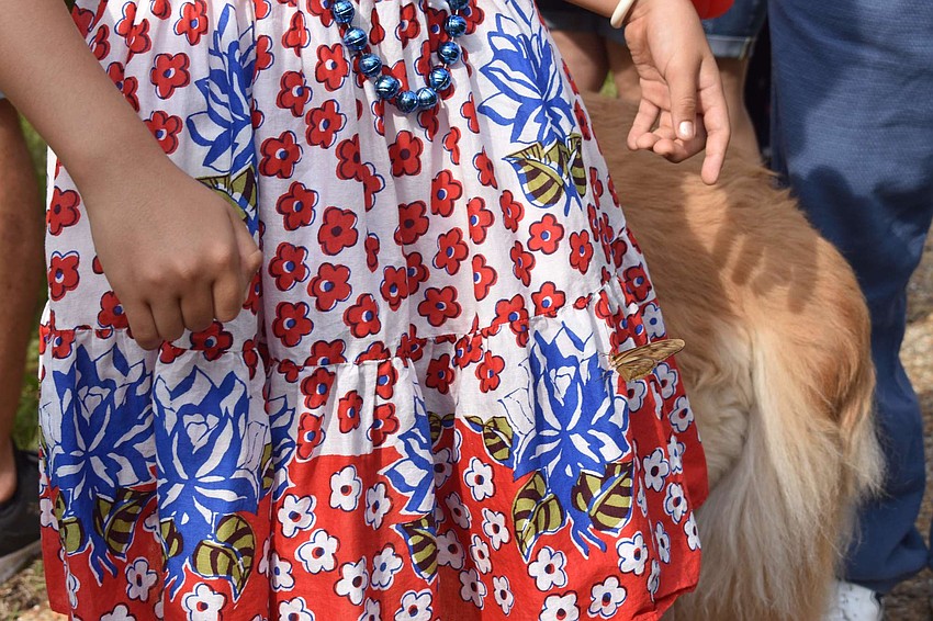 Zuleika Zunz's flowery dress attracted the butterflies after they were released.