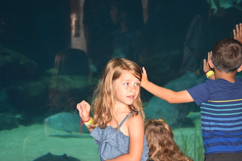 Jane, Emmalyn and Camden Walters get up close to the tanks.