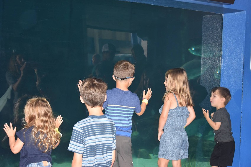 Emmalyn Walters, Gavin Brown, Camden Walters