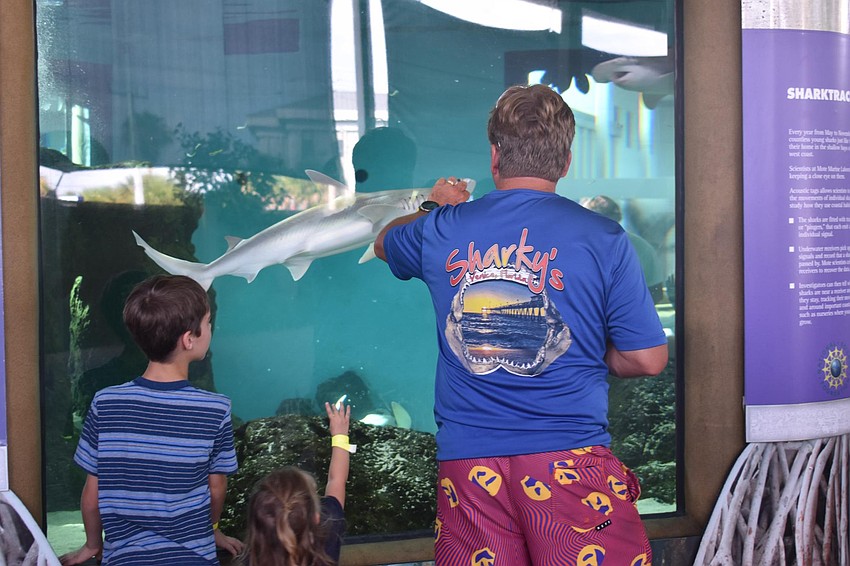 Gavin and Patrick Brown watch a shark after it got its breakfast.
