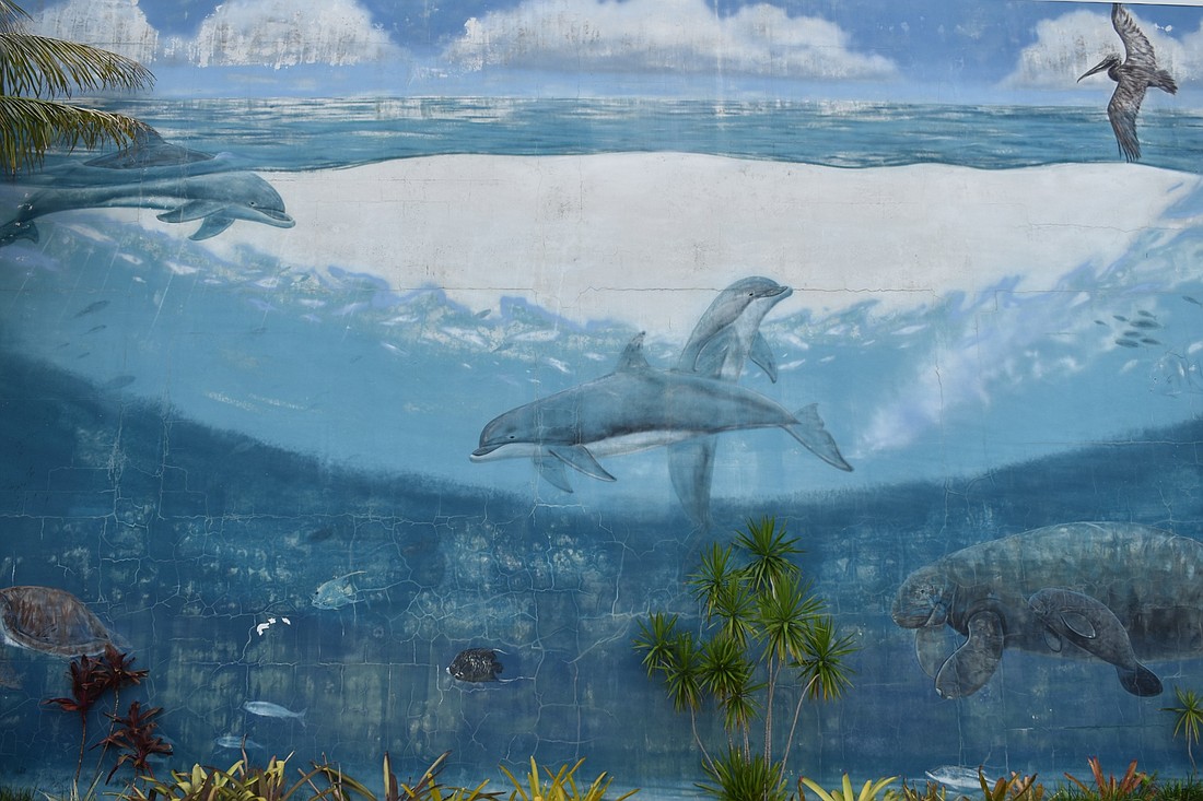 A mural outside of Mote Marine Laboratory and Aquarium depicts barrier island marine life.