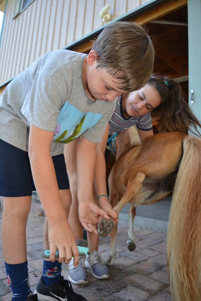 Upcoming Nolan Middle School sixth-grader Riley Vankooten learns how to pick a horse's hoof from counselor Declan Hudson.
