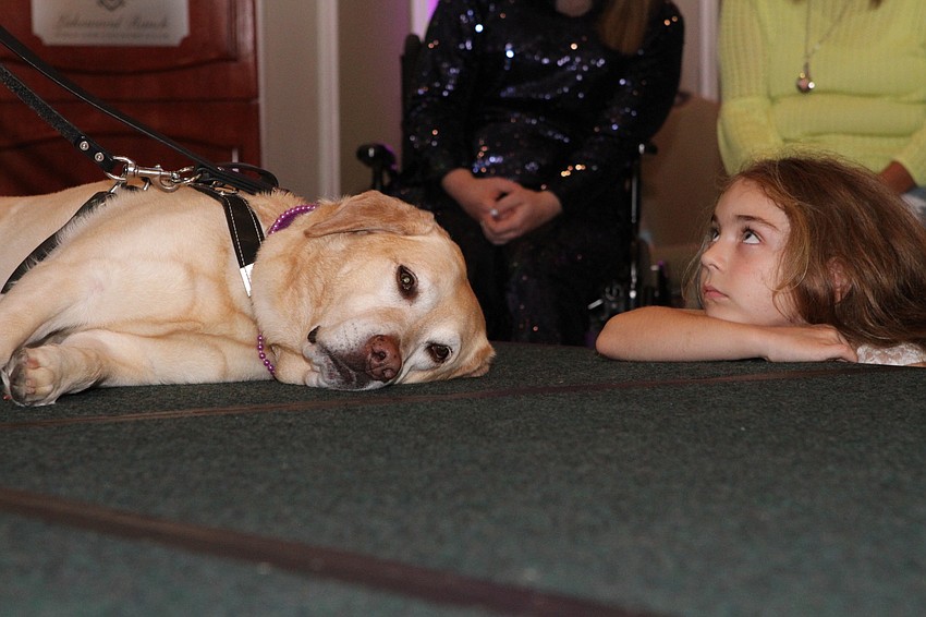 Carson the golden retriever and Fallon O'Brien