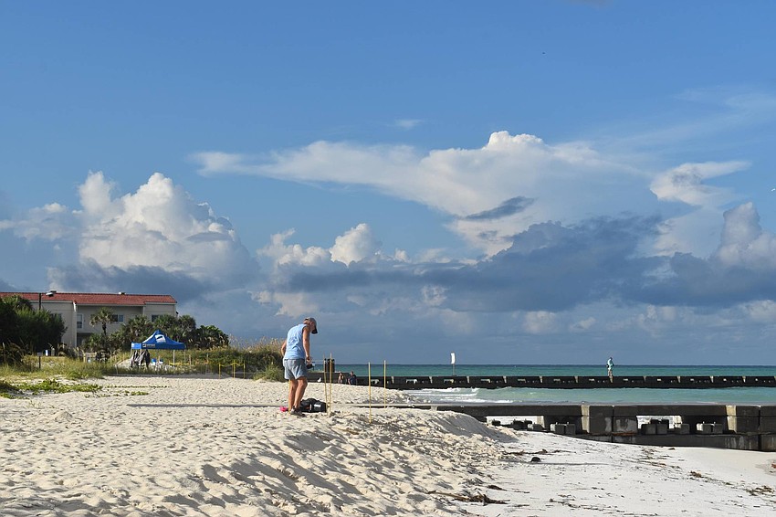 Mike Herron, a member of the Longboat Key Turtle Watch, checks out a nest with the Surfrider tent in the background.