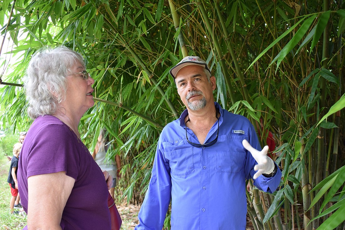 OnlyMoso&#39;s Diego Cespedes talks to Sarasota resident Nona Arnholt about how the bamboo grows at Mixon Fruit Farms.