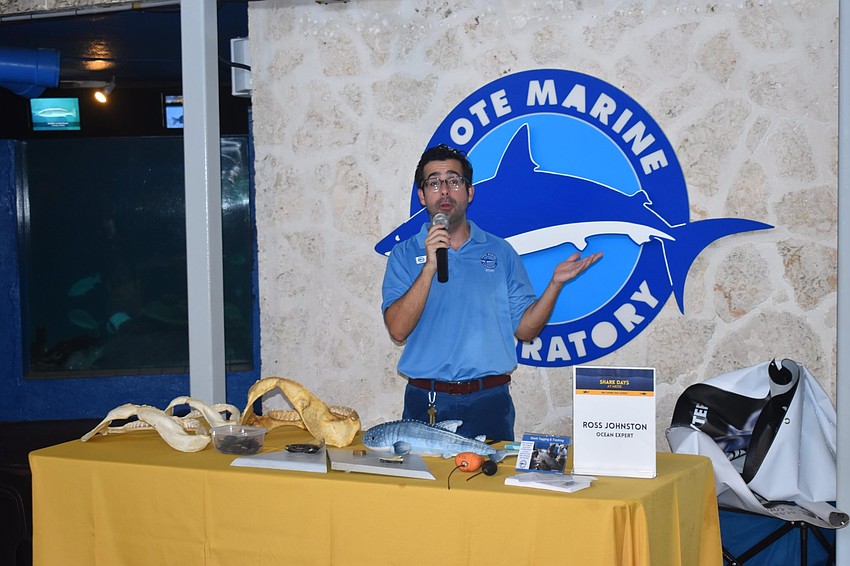 Ross Johnston talks sharks.