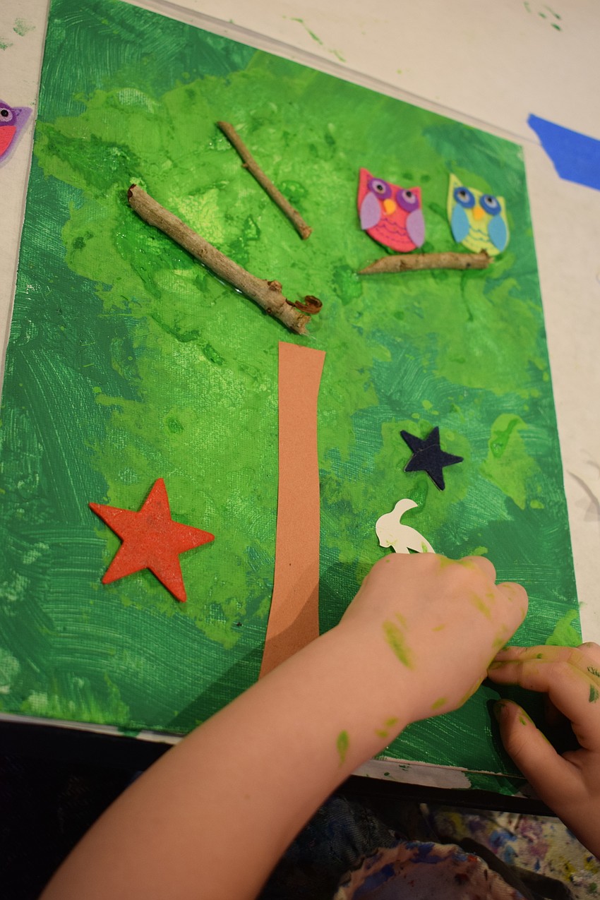 A tree grows in Lakewood Ranch.