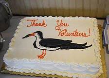 A black skimmer, one of the birds Audubon helps to protect, is showcased on the cake.