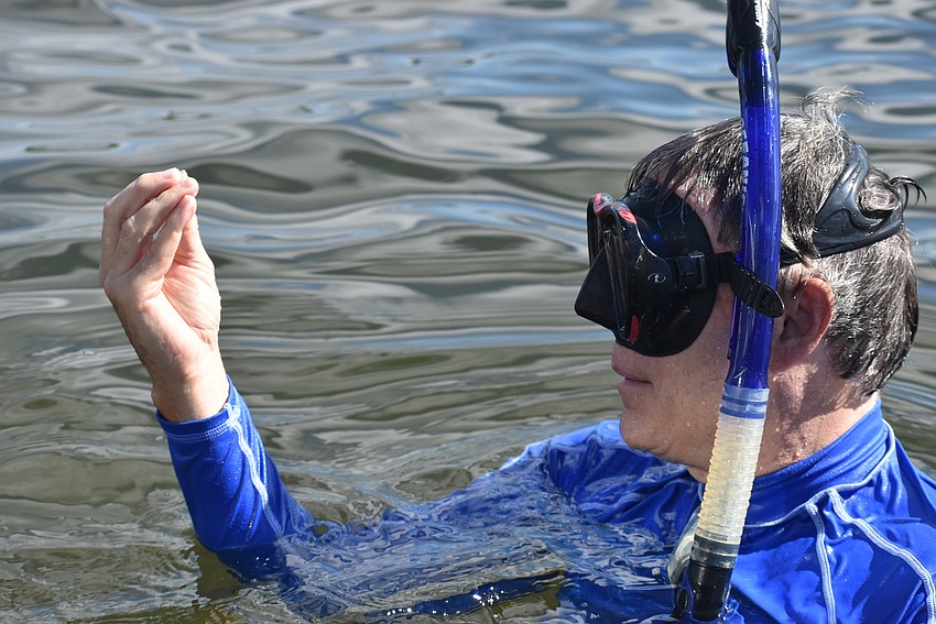 Jay Brady assesses a scallop.