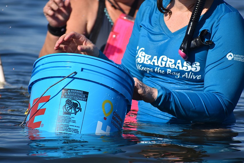 Jeanette Marks looks at what they've found.