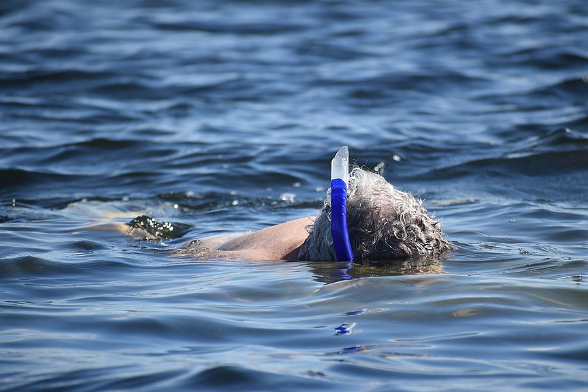 John Ryan dives in to snorkel the bay.