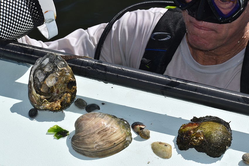 Al Jeffrey shows what he's found.