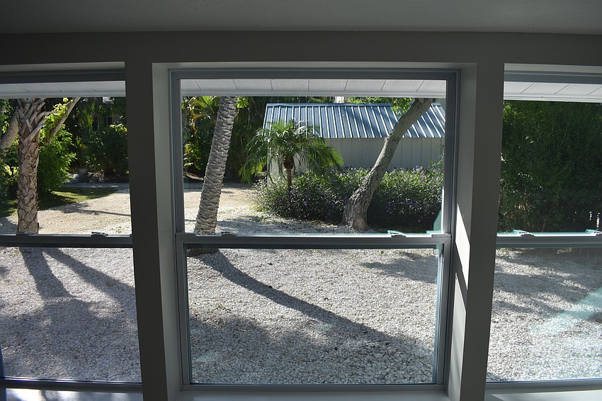 A view from the back room of the backyard.