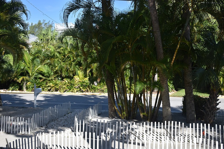 A view from the front porch.