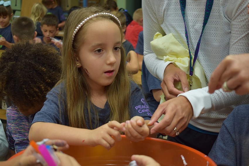 Gilbert W. McNeal Elementary School second-grader Khloe Kenyan, 7, crushes together wildflowers and biodegradable paper to create a seed ball during an International Peace Day activity about bees.