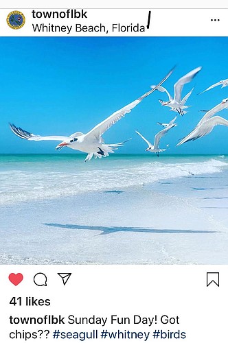 The town of Longboat Key has been posting to Instagram since late August.