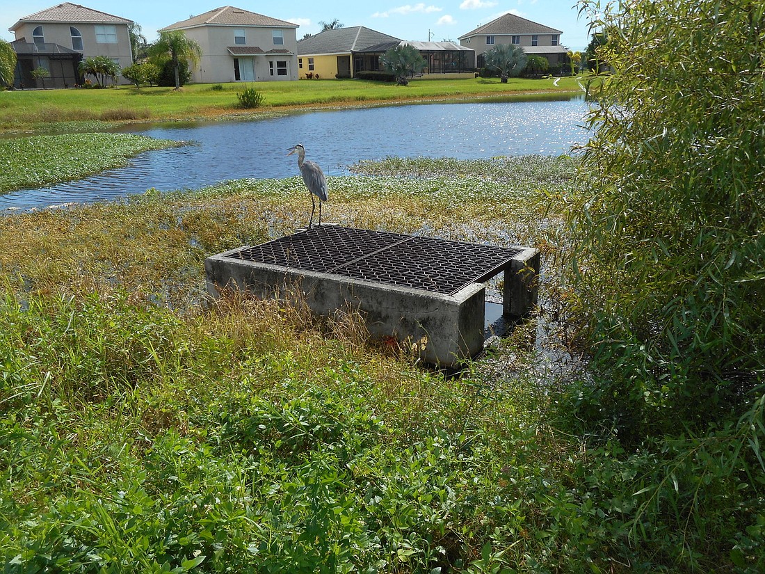 The Waterlefe Community Development District maintains stormwater inlets and other structures that sometimes need repair. Water from the ponds eventually drains into stormwater systems outside the community. Courtesy photo.