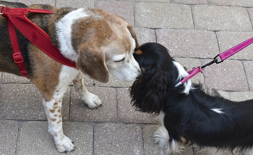 Bailey, 15, and Lily, 9 months, say hello.
